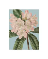 Vision Studio Fresh Florals Ii Canvas Art - 15" x 20"