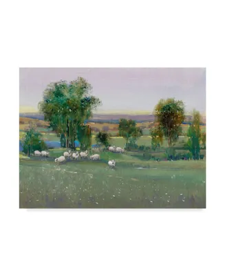 Tim Otoole Field of Sheep Ii Canvas Art