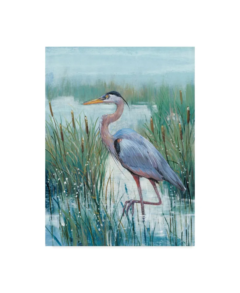 Tim Otoole Marsh Heron Ii Canvas Art