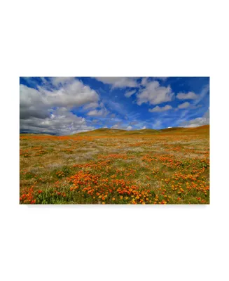 American School Poppies with Clouds Canvas Art - 15" x 20"