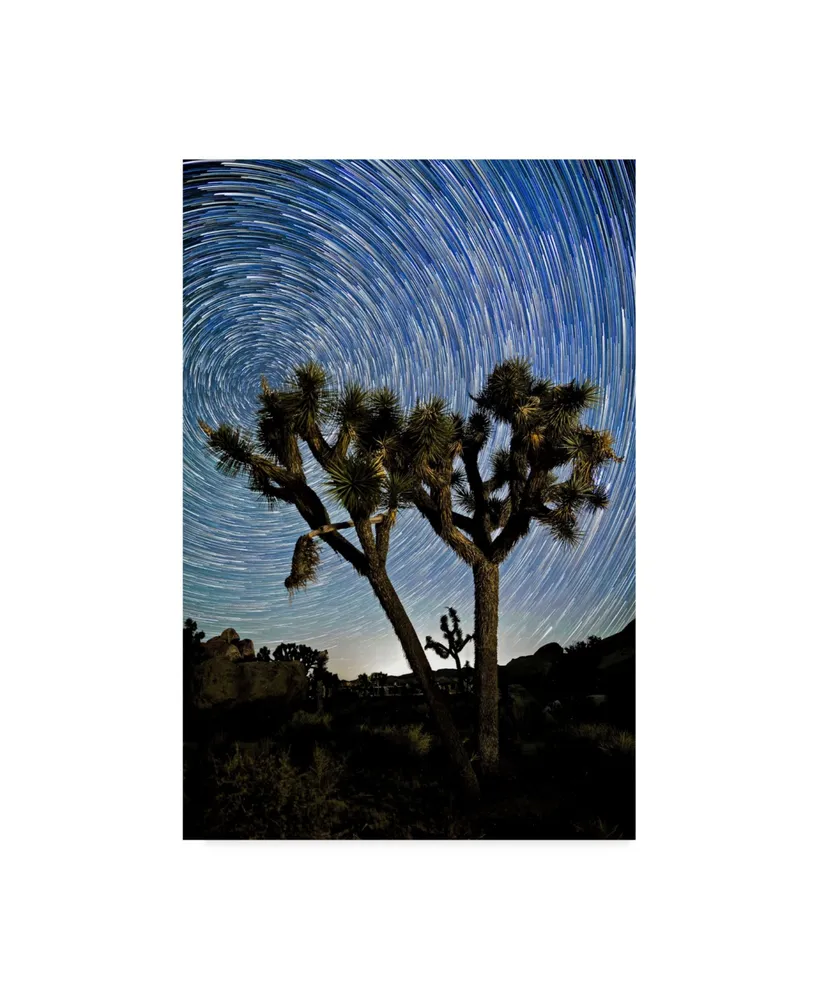 American School Joshua Tree Star Trails Canvas Art