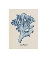 Melissa Wang Sea Coral Study I Canvas Art