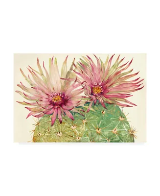 Tim Otoole Cactus Blossoms I Canvas Art
