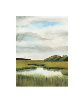 Naomi Mccavitt Marsh Landscapes Ii Canvas Art
