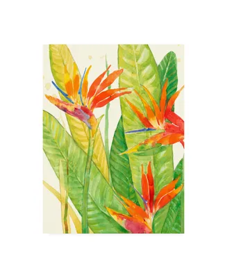 Tim Otoole Watercolor Tropical Flowers Iii Canvas Art