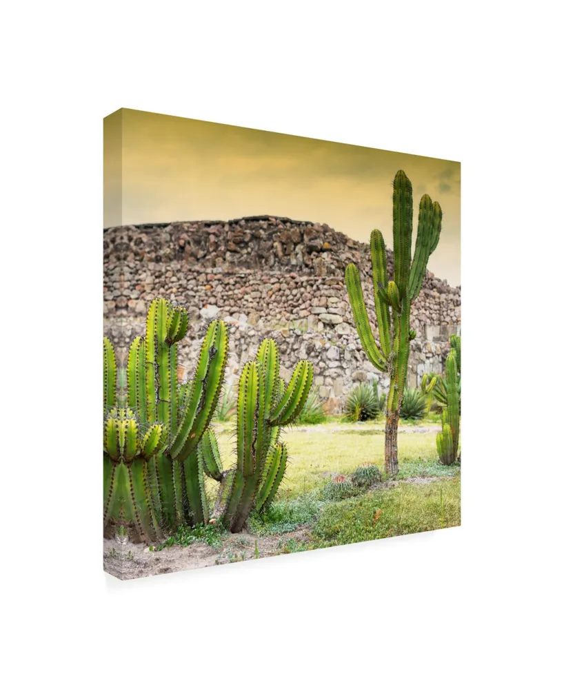 Philippe Hugonnard Viva Mexico 3 Mexican Cactus at Sunset Canvas Art