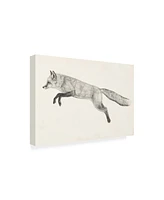 Victoria Borges Flying Fox Ii Canvas Art - 19.5" x 26"