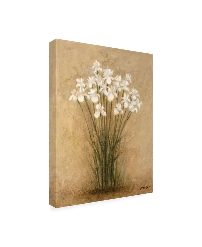 Debra Lake Clump of Irises Canvas Art