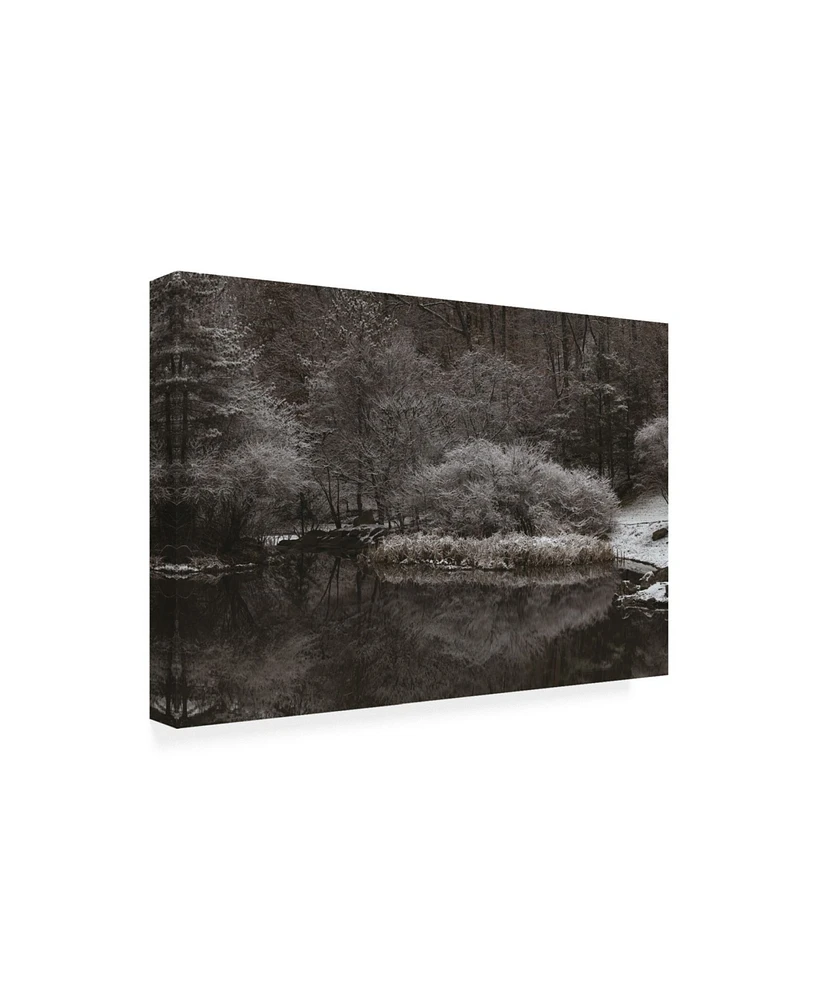 Kurt Shaffer Photographs Serene Winter Scene Canvas Art - 36.5" x 48"