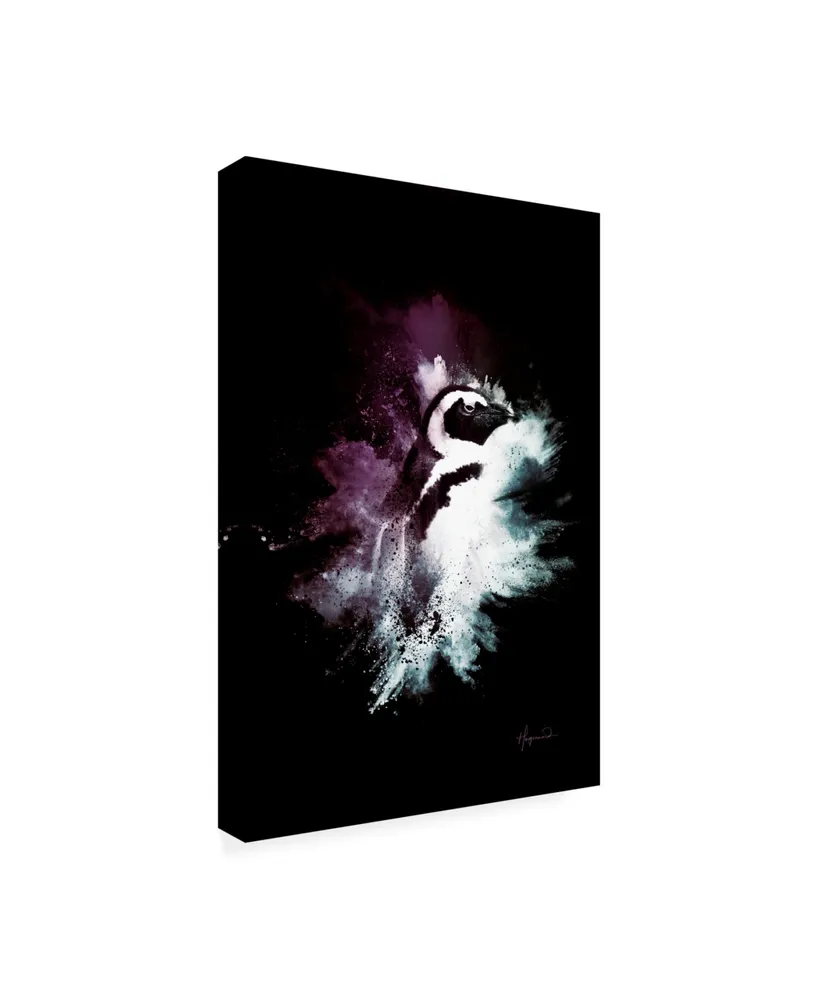 Philippe Hugonnard Wild Explosion Collection - the Penguin Canvas Art