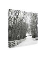 Nicholas Bel Country Lane in Winter Canvas Art - 36.5" x 48"