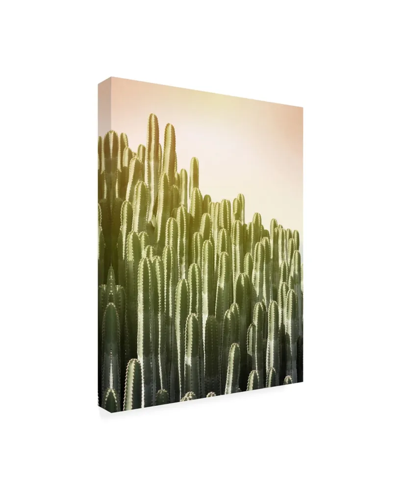 Lexie Gree Pink Sky Cactus Canvas Art