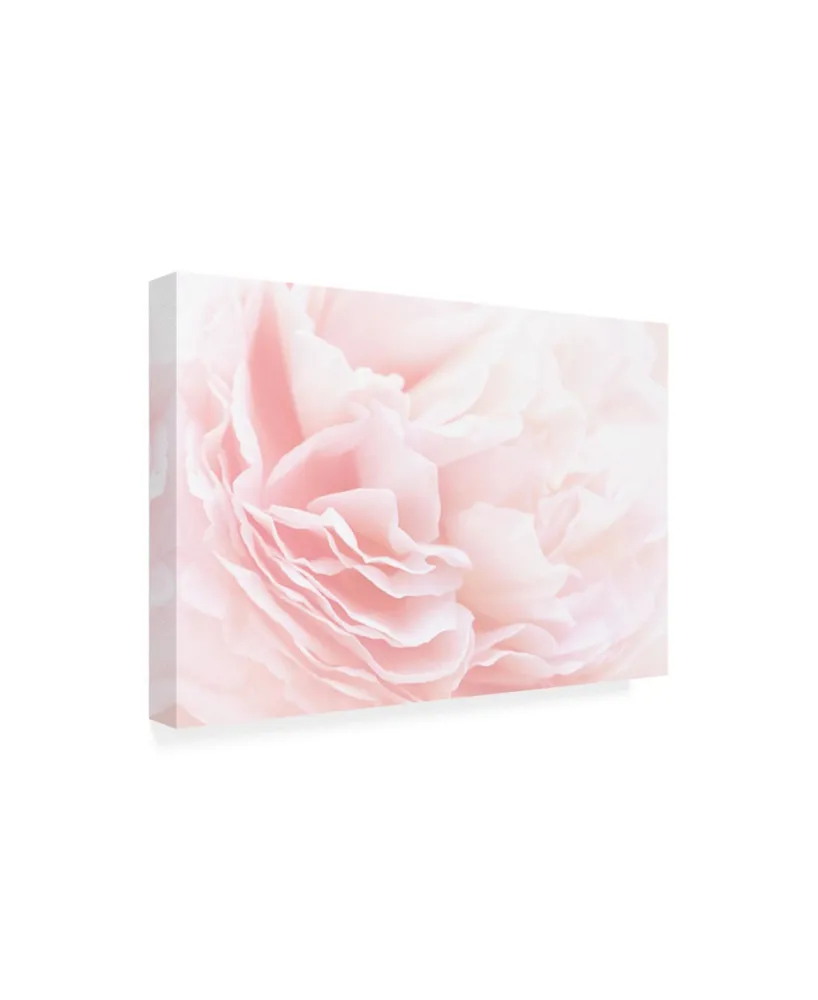 PhotoINC Studio Rose 2 Pink Floral Canvas Art - 36.5" x 48"