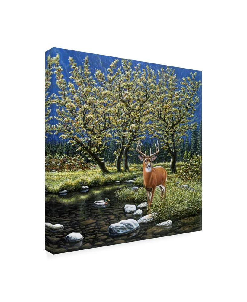 John Van Straalen Streamside Spirits Canvas Art