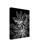 Incado Crystal I Canvas Art - 15.5" x 21"