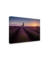 Donald Luo Provence Lavender Canvas Art - 20" x 25"