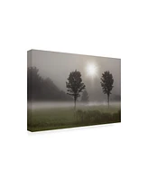 Monte Nagler Two Trees and Sunburst Logan Ohio Canvas Art