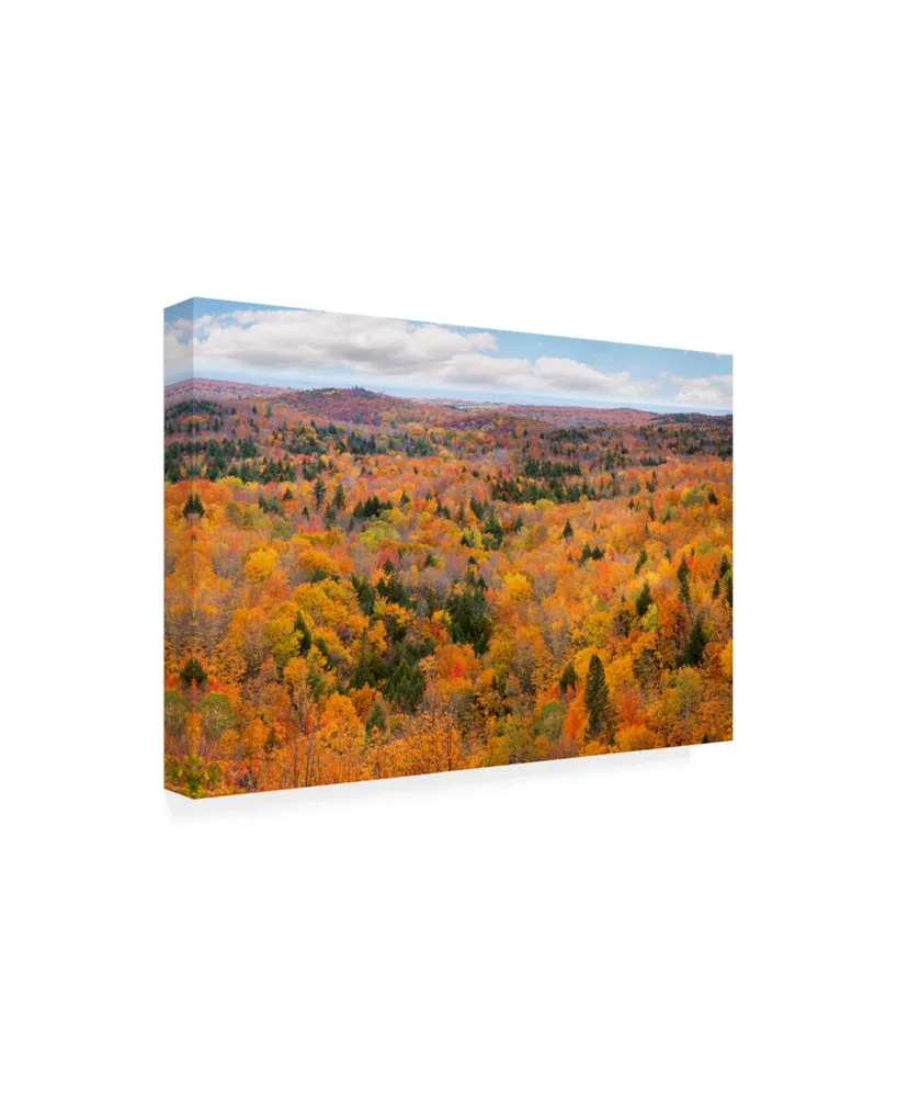 Monte Nagler Autumn Palette Marquette Michigan Color Canvas Art