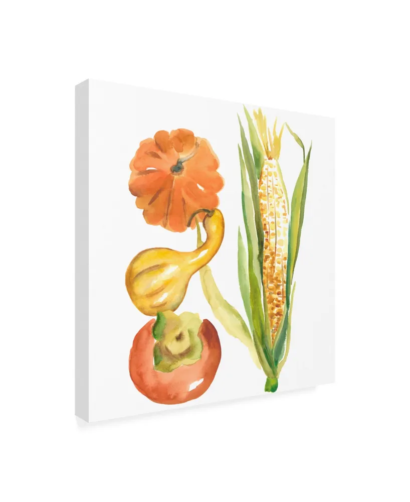 Chariklia Zarris Harvest Medley V Canvas Art