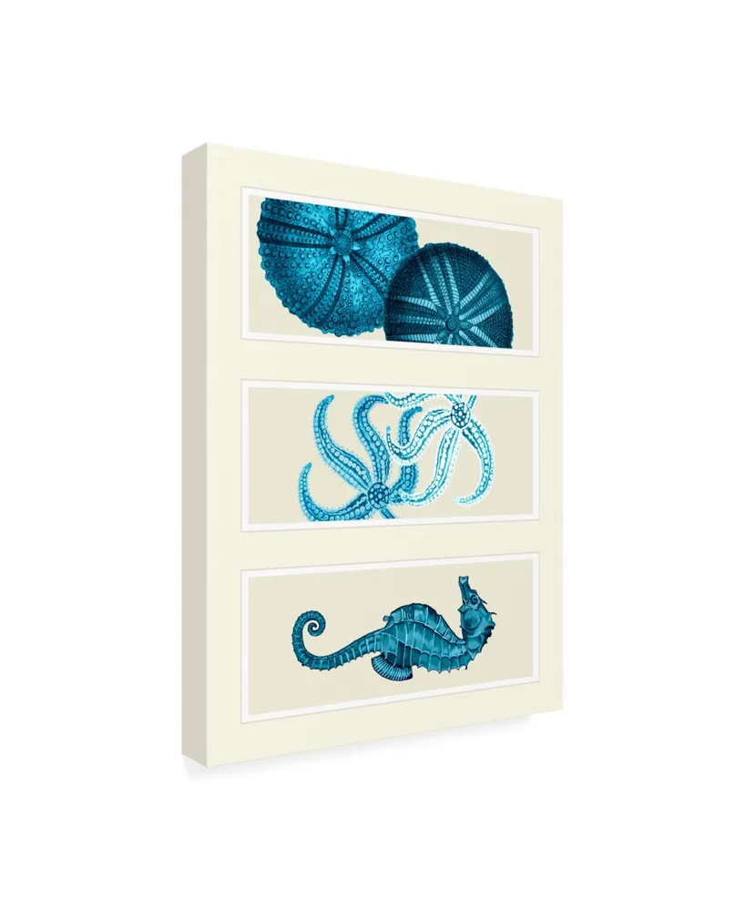 Fab Funky Three Panel Print Sea Urchin Starfish and Seahorse in Blue Canvas Art