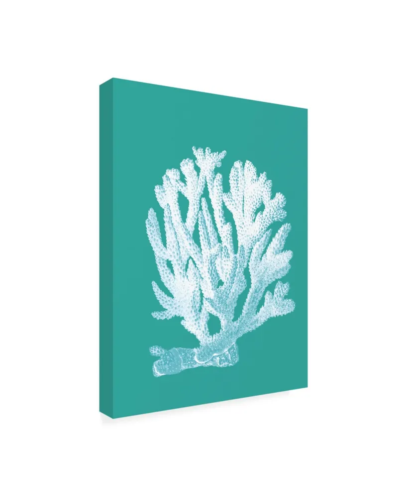 Fab Funky Coral 1 White on Turquoise Canvas Art