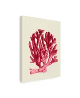 Fab Funky Red Corals 1 a Canvas Art