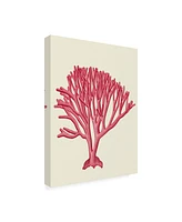 Fab Funky Red Corals 1 C Canvas Art