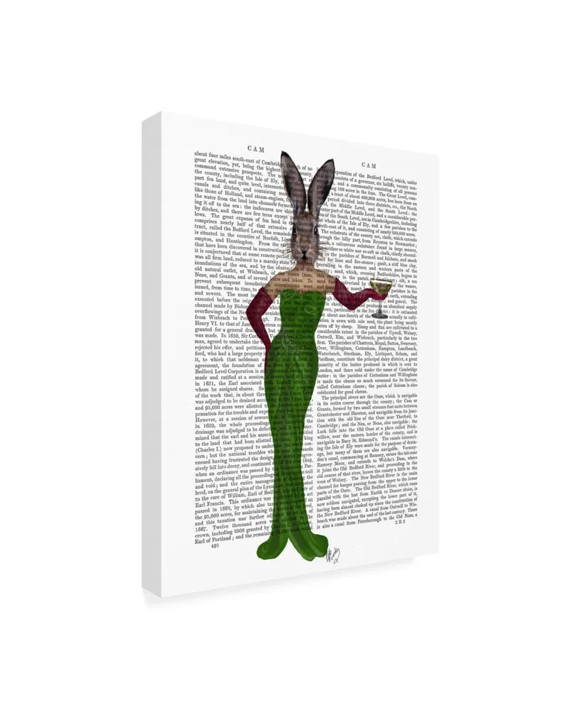 Fab Funky Rabbit Green Dress Canvas Art
