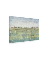 Tim Otoole Grazing Land Iii Canvas Art - 36.5" x 48"