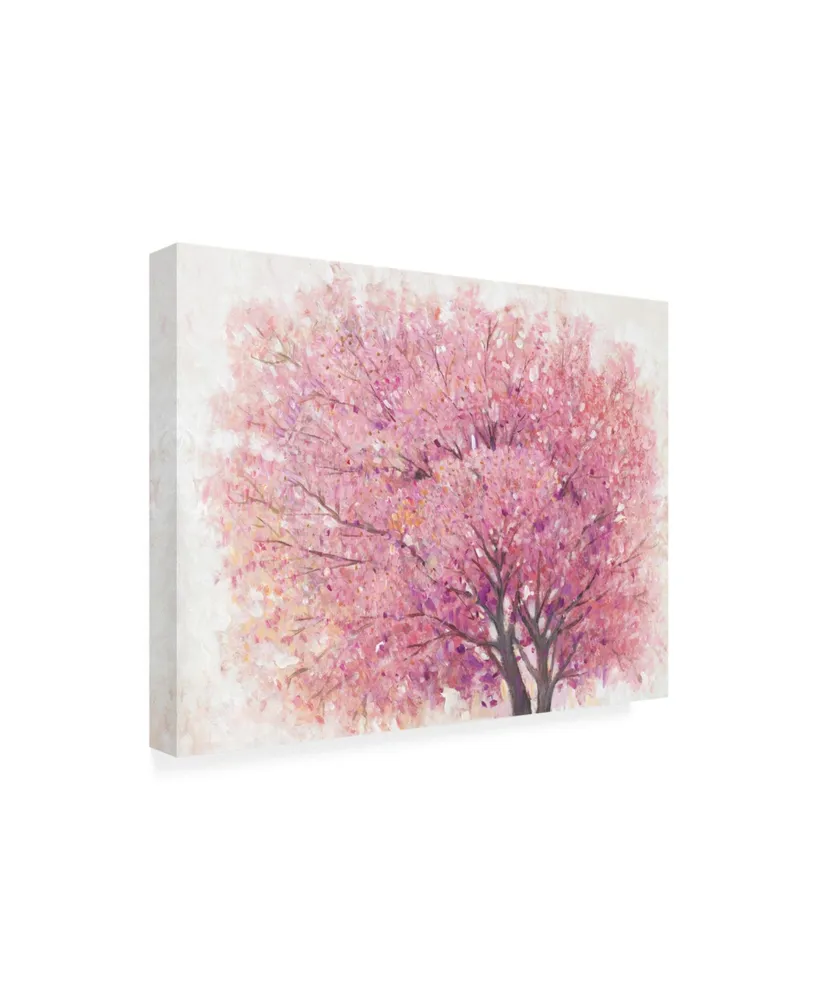 Tim OToole Pink Cherry Blossom Tree Ii Canvas Art
