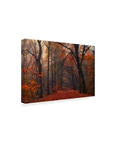 Anton Van Dongen Decorative Forrest Canvas Art - 37" x 49"