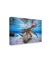 Barathieu Gabriel Dancing Octopus Canvas Art - 37" x 49"