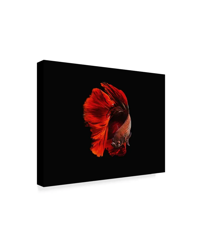 Andi Halil The Red Canvas Art