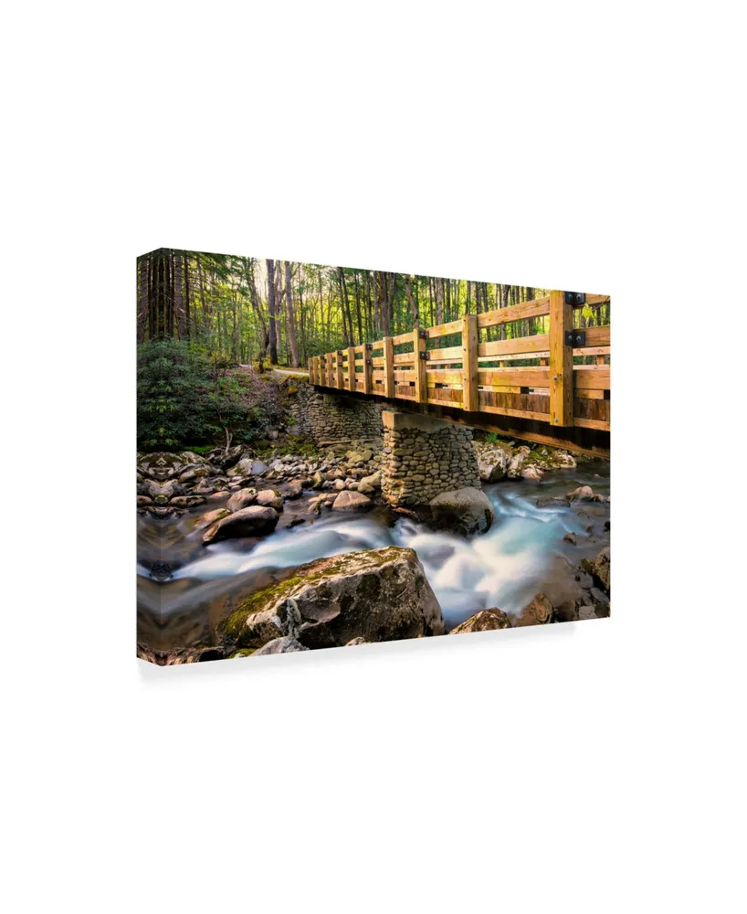 Danny Head Bridge and Cascade Ii Canvas Art