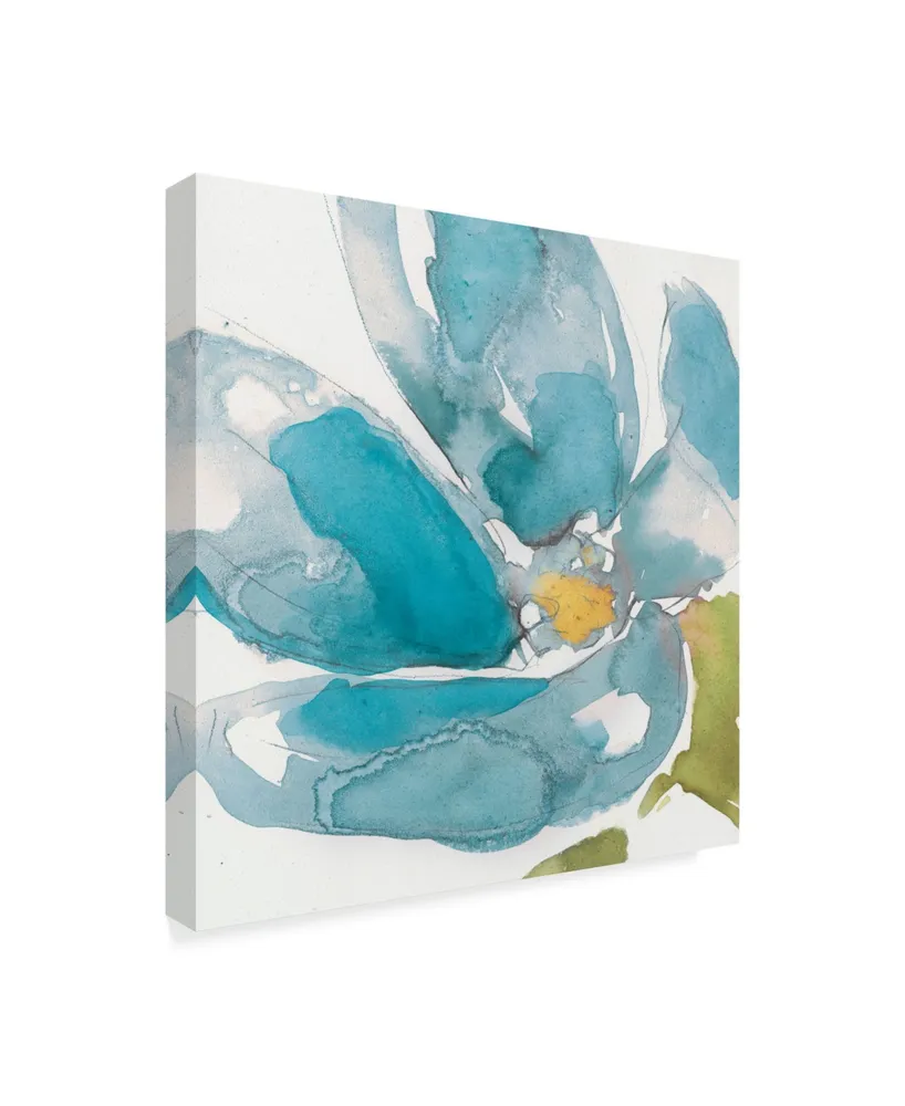 Jennifer Goldberger Flower Splash I Canvas Art