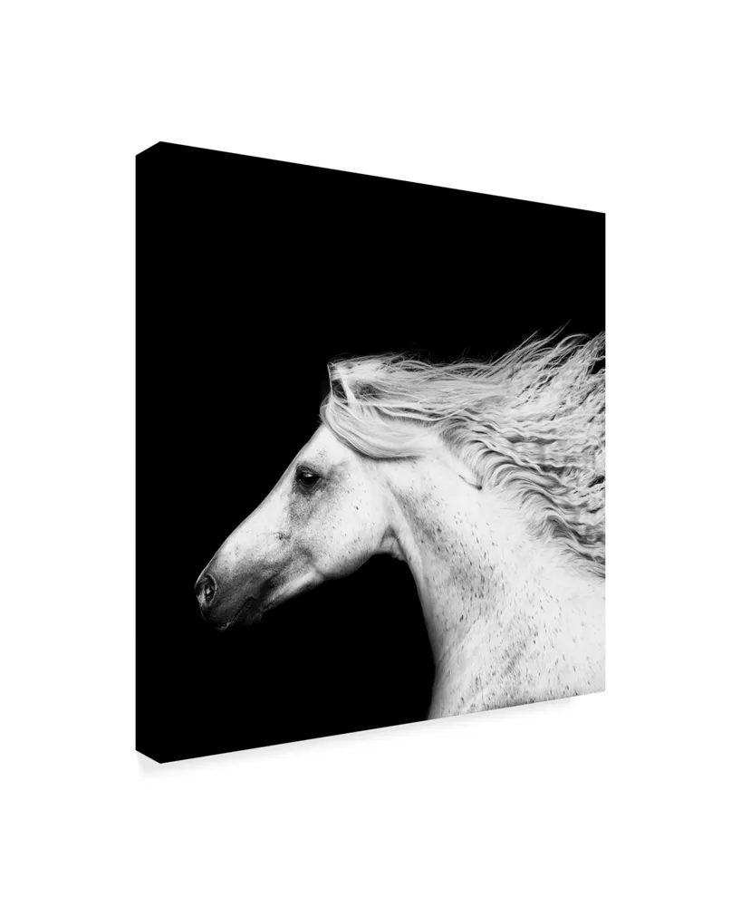 Ph Burchett Black and White Horses V Canvas Art