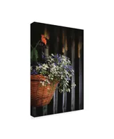 Christine Sainte-Laudy Blue and White Flowered Waterfall Canvas Art - 15" x 20"