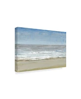 Tim Otoole Beach Walking Day I Canvas Art