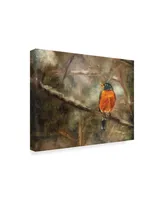 Lois Bryan American Robin in the Snow Canvas Art - 20" x 25"