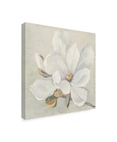 Julia Purinton Serene Magnolia Canvas Art - 27" x 33"