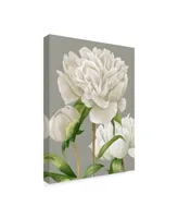 Grace Popp White Peonies Ii Canvas Art - 15" x 20"