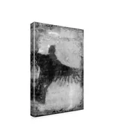 Ingrid Blixt B&W Flight Viii Canvas Art