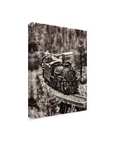 David Drost Train Arrival Iii Canvas Art - 20" x 25"