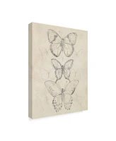 June Erica Vess Vintage Butterfly Sketch I Canvas Art - 20" x 25"