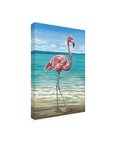 Carolee Vitaletti Beach Walker Flamingo I Canvas Art - 20" x 25"