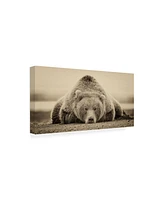 Ph Burchett Deep Sleep Canvas Art - 37" x 49"