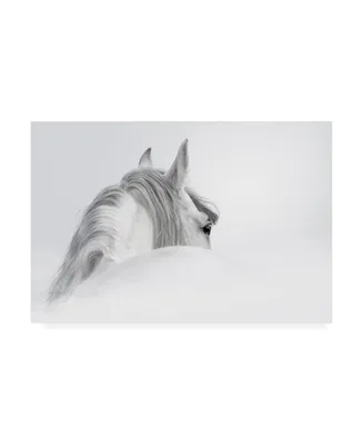 PhotoINC Studio White Horse on White Canvas Art - 27" x 33.5"