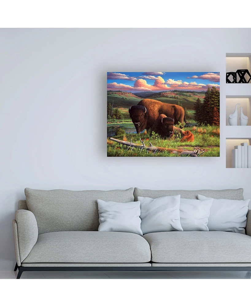 R W Hedge Buffalo Nation Canvas Art - 36.5" x 48"