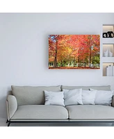 Beata Czyzowska Young Bc Magic of Autumn Canvas Art - 27" x 33.5"