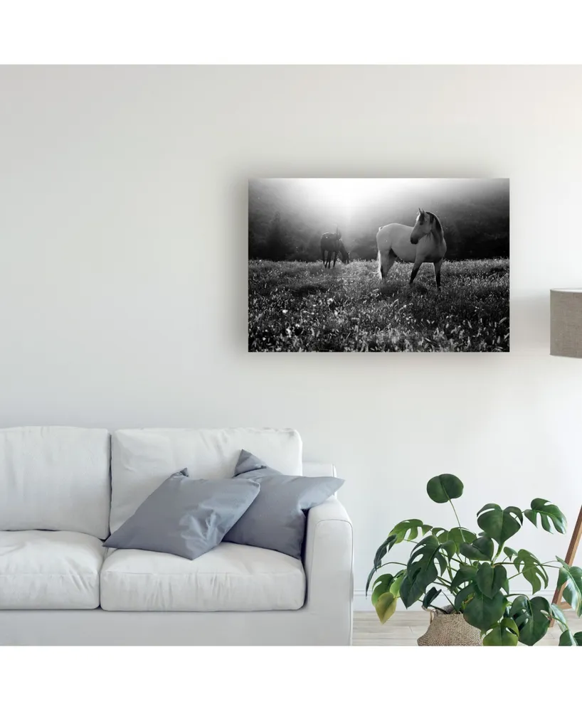 Peter Svoboda Mqep Come Home Canvas Art